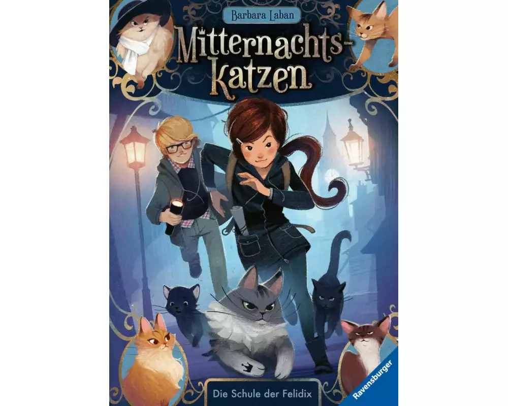 Mitternachtskatzen, Band 1 - Die Schule der Felidix