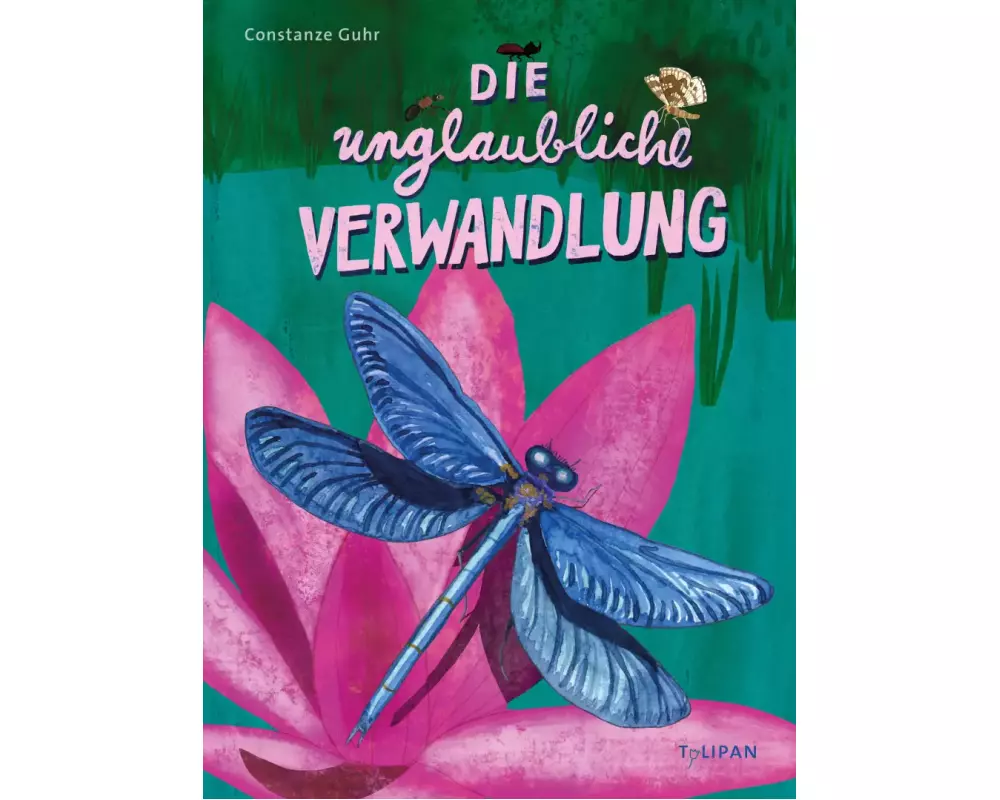 Die unglaubliche Verwandlung