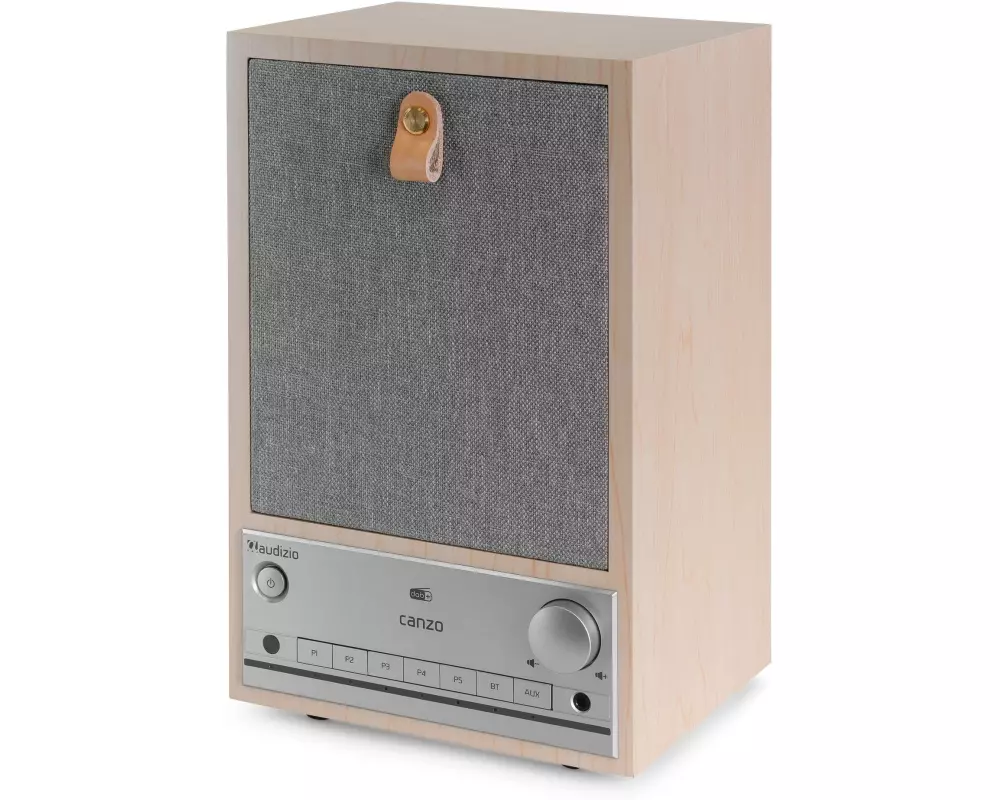 Audizio Internet Radio Canzo Braun