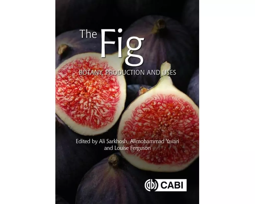 The Fig