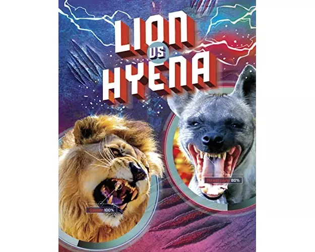 Lion vs Hyena