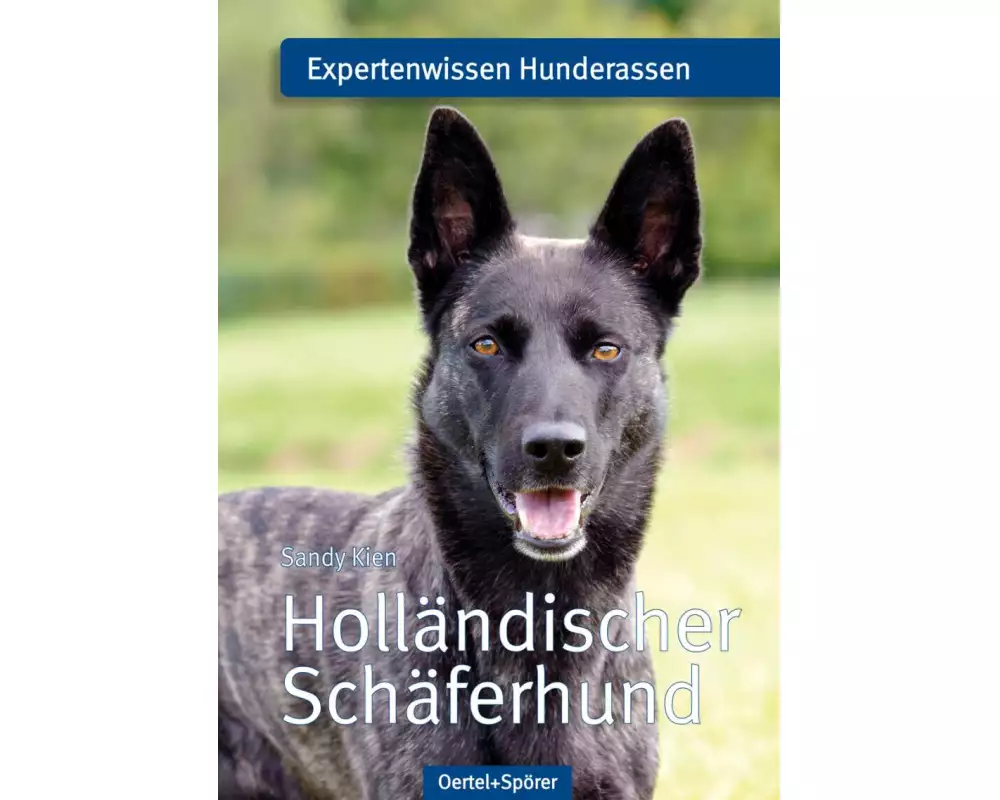 Holländischer Schäferhund