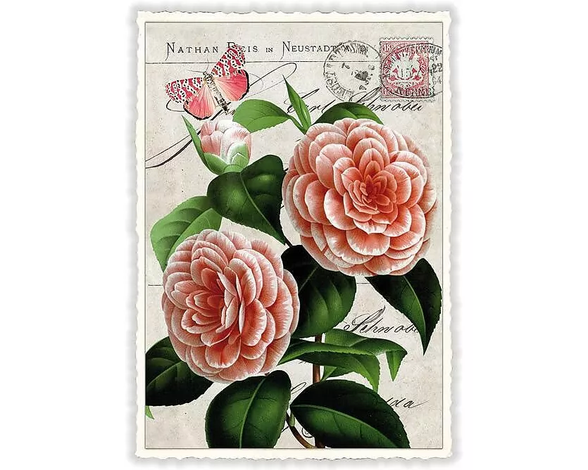 Postkarte / Blume / blanko