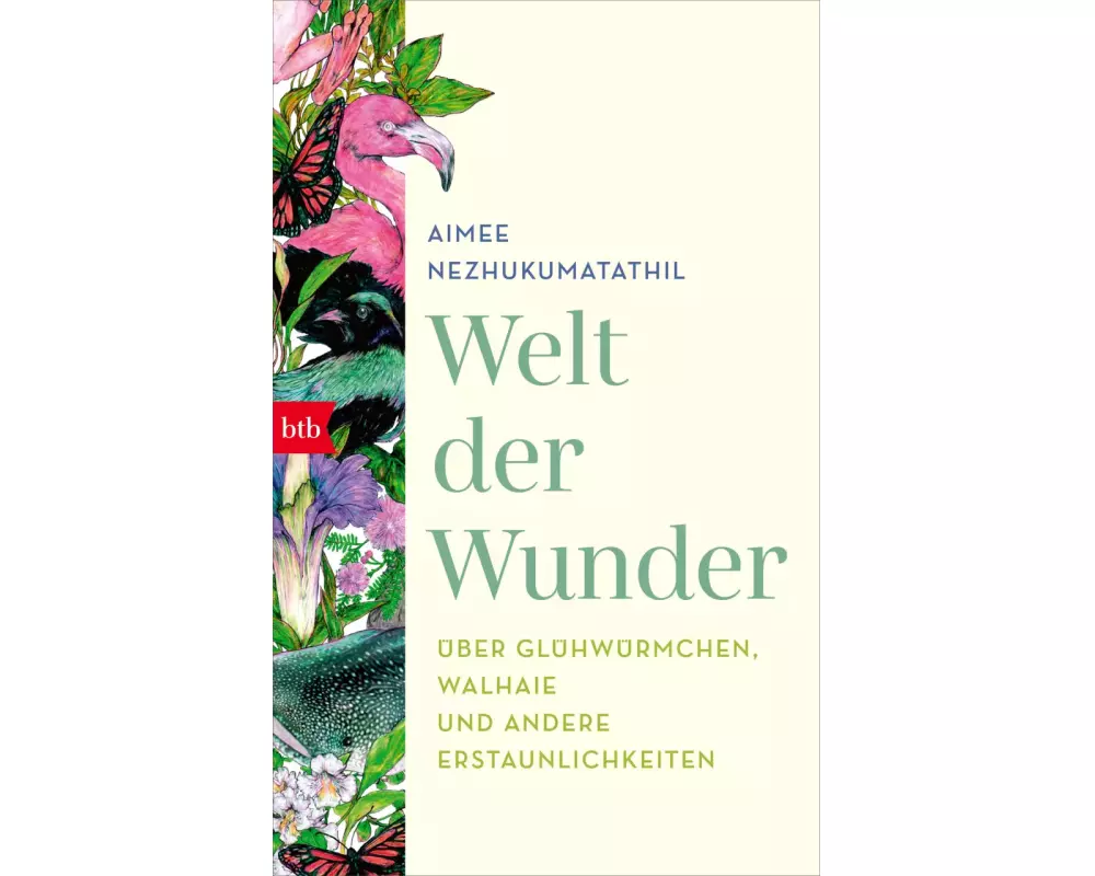 Welt der Wunder