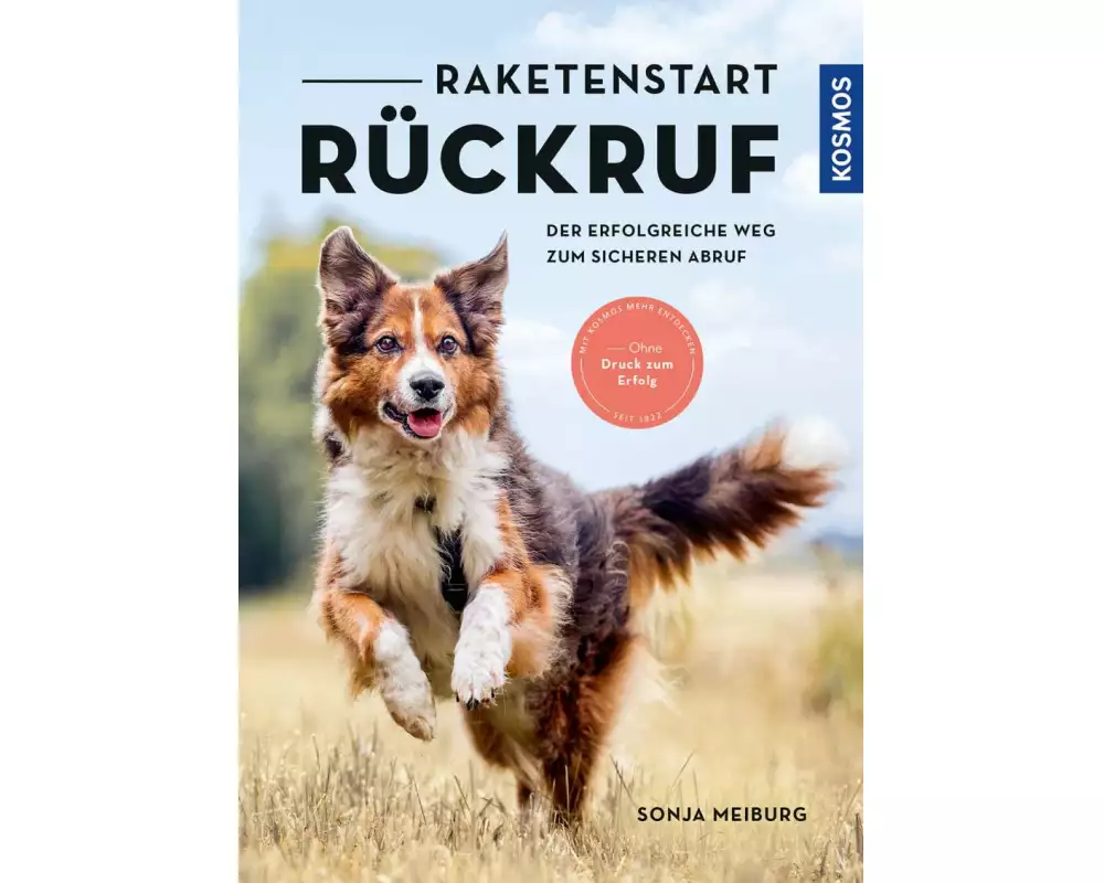 Raketenstart-Rückruf