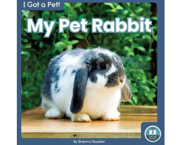 My Pet Rabbit