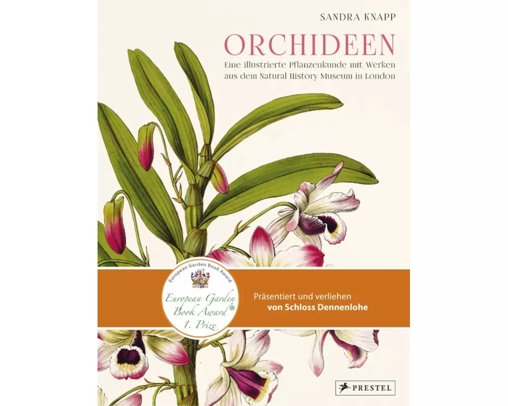 Orchideen