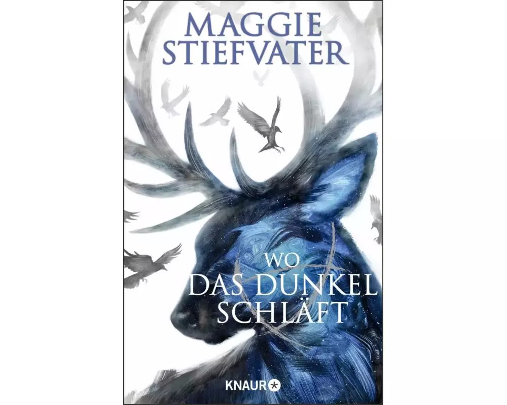 Wo das Dunkel schläft