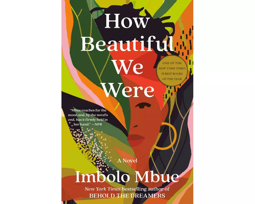 How Beautiful We Were