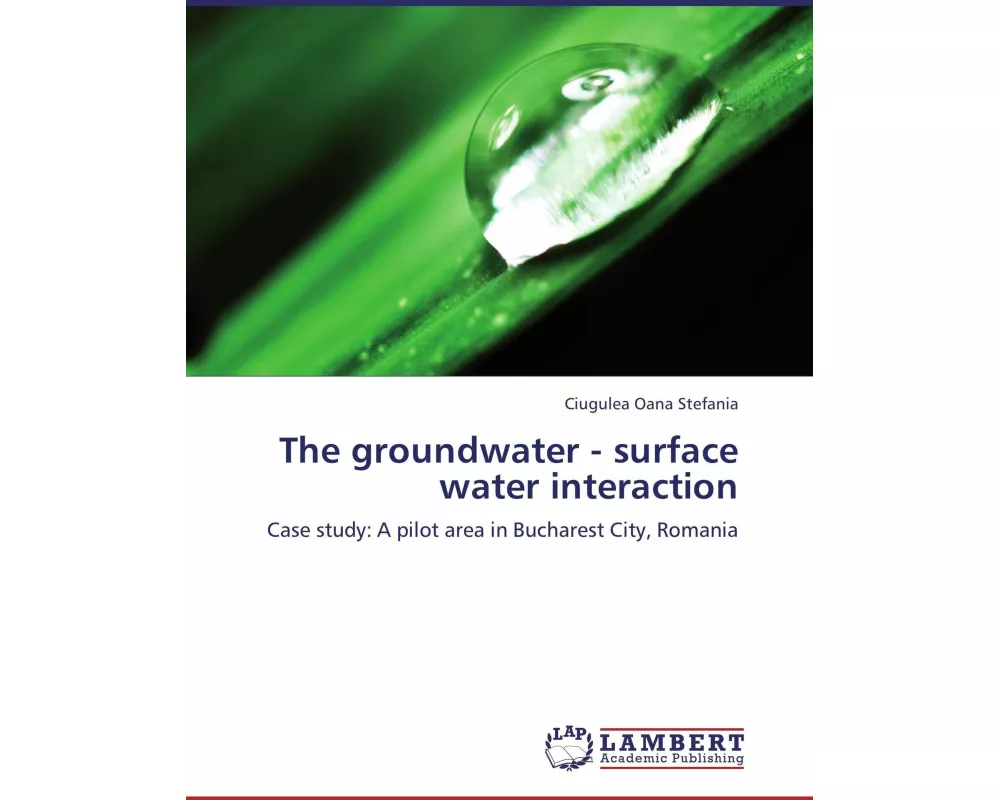 The groundwater - surface water interaction