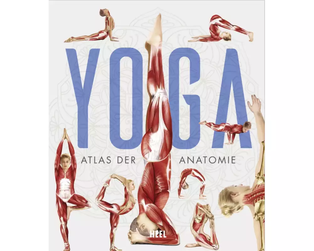 YOGA - Atlas der Anatomie