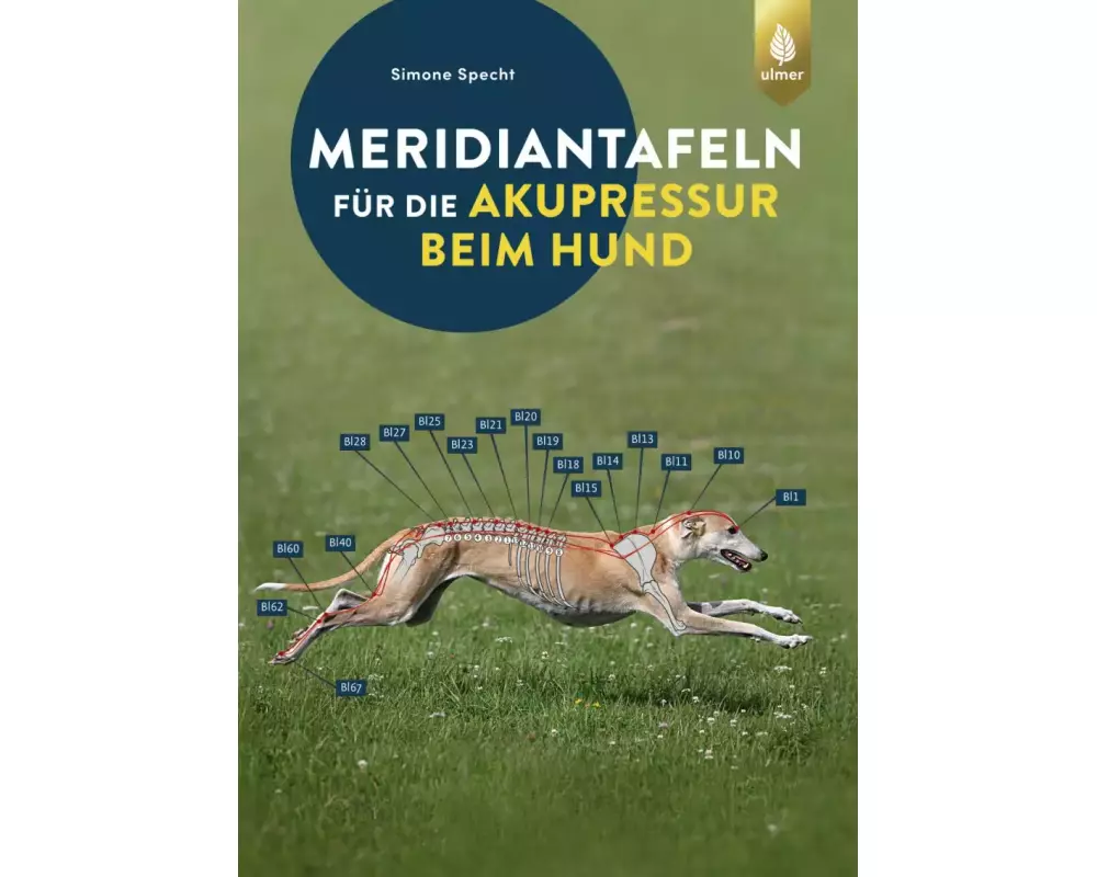 Meridiantafeln für die Akupressur beim Hund