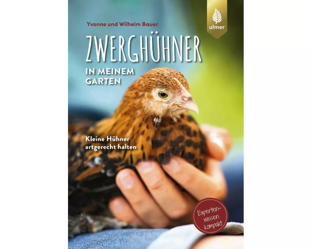 Zwerghühner in meinem Garten
