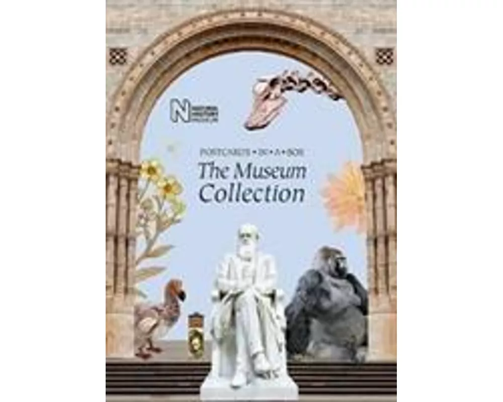 The Museum Collection