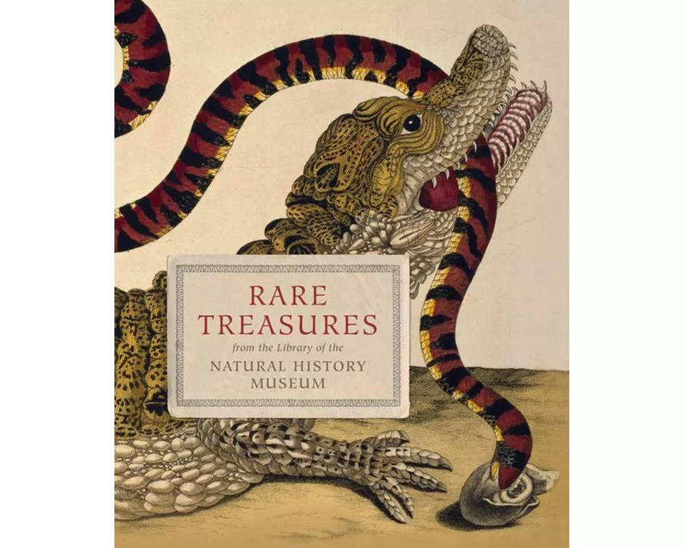 Rare Treasures