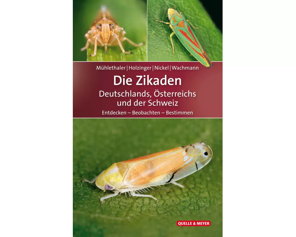 Die Zikaden Deutschlands, Österreichs und der Schweiz