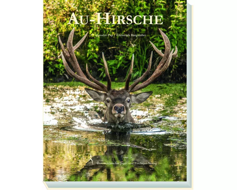 Au-Hirsche