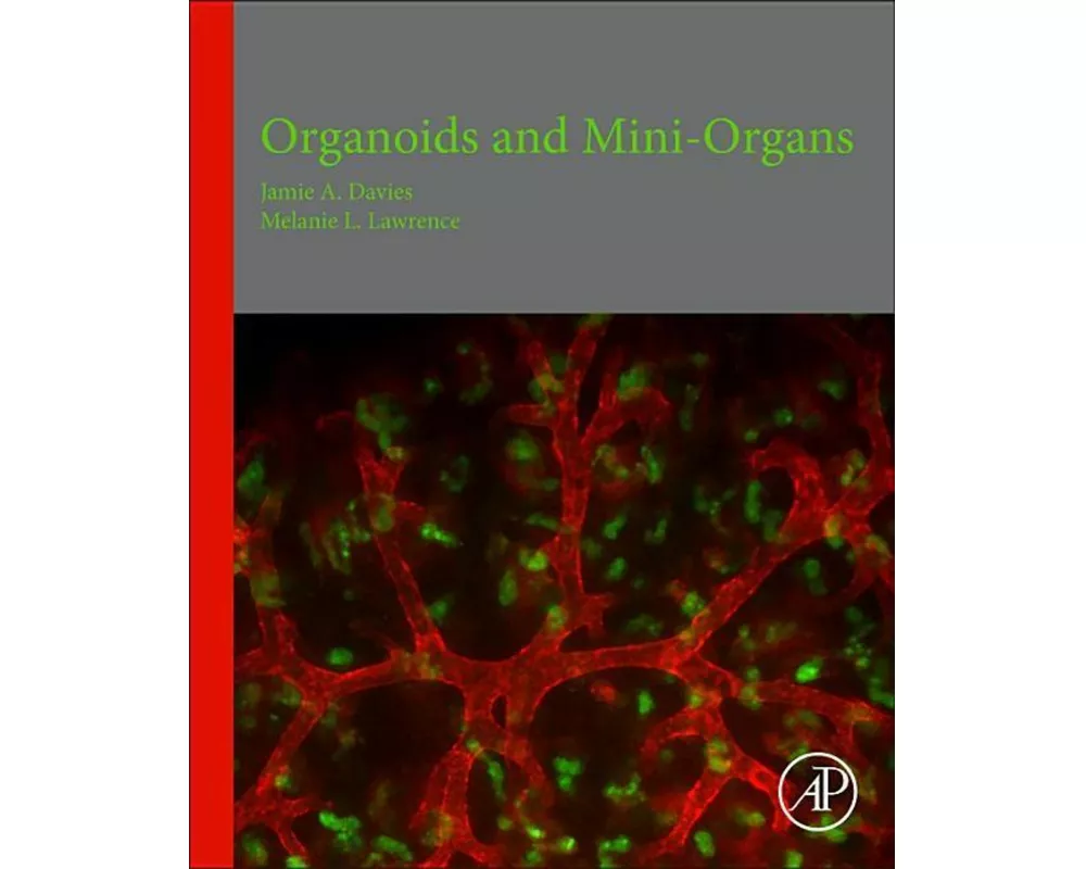 Organoids and Mini-Organs