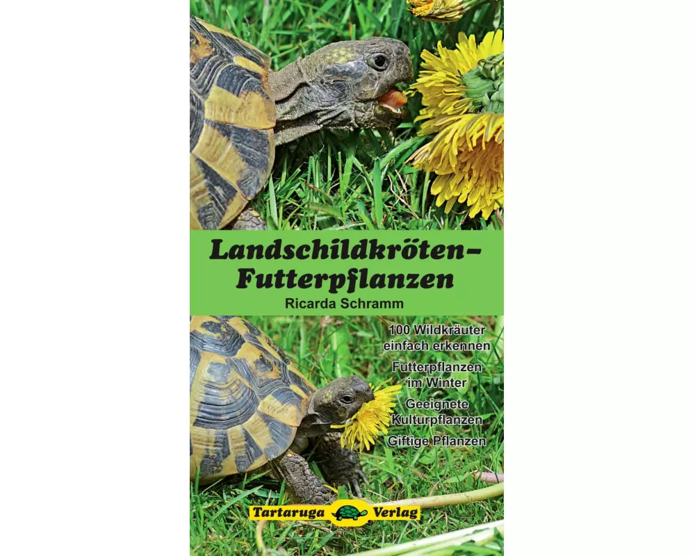 Landschildkröten-Futterpflanzen