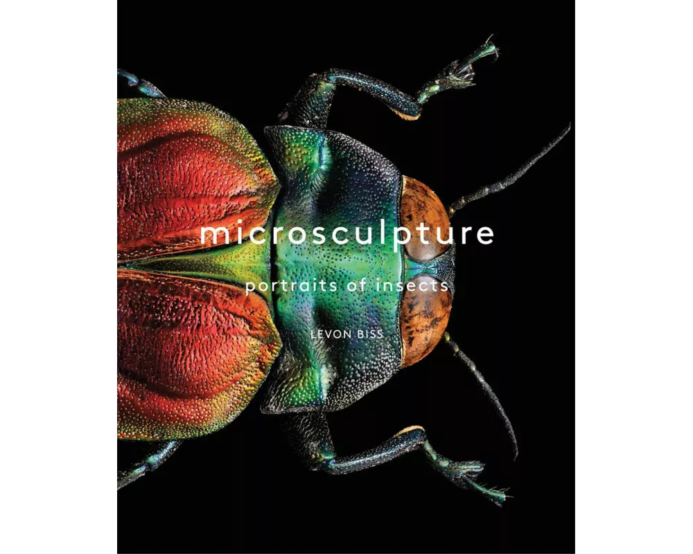 Microsculpture