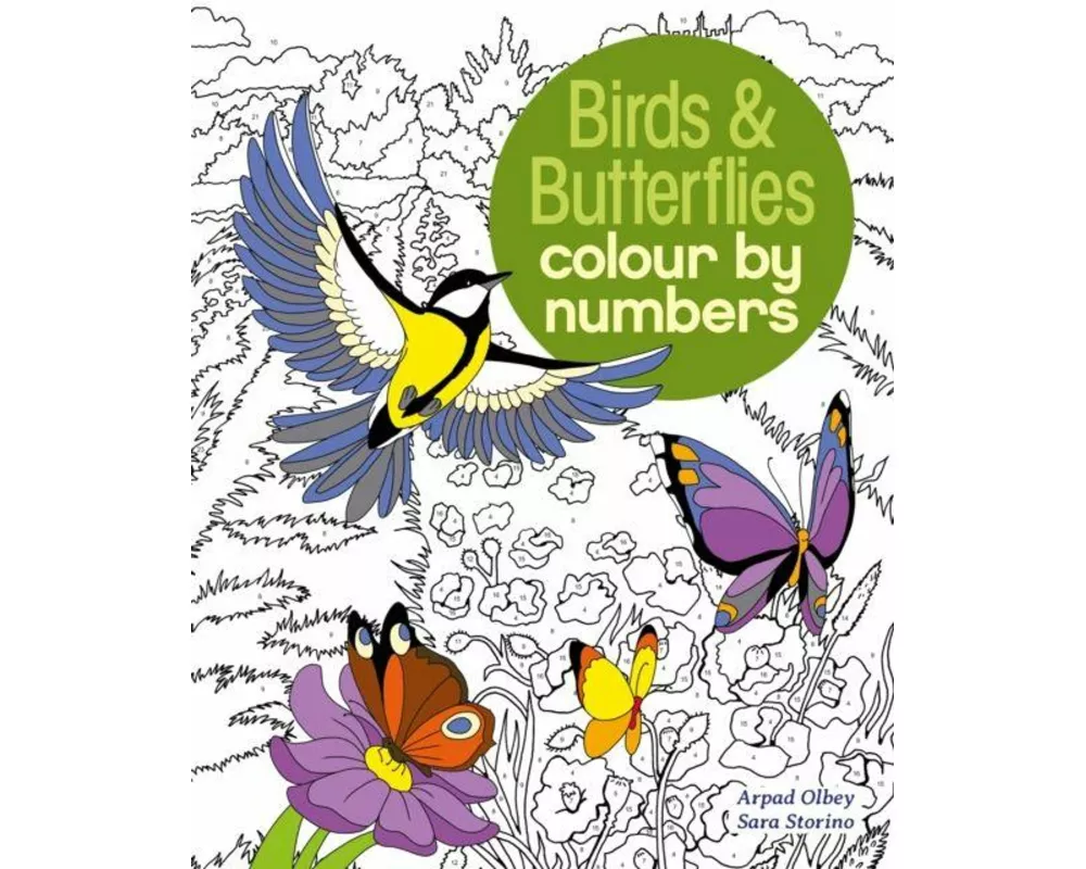 Birds & Butterflies Colour by Numbers