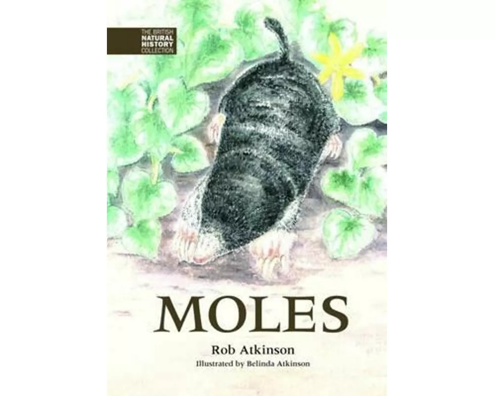 Moles