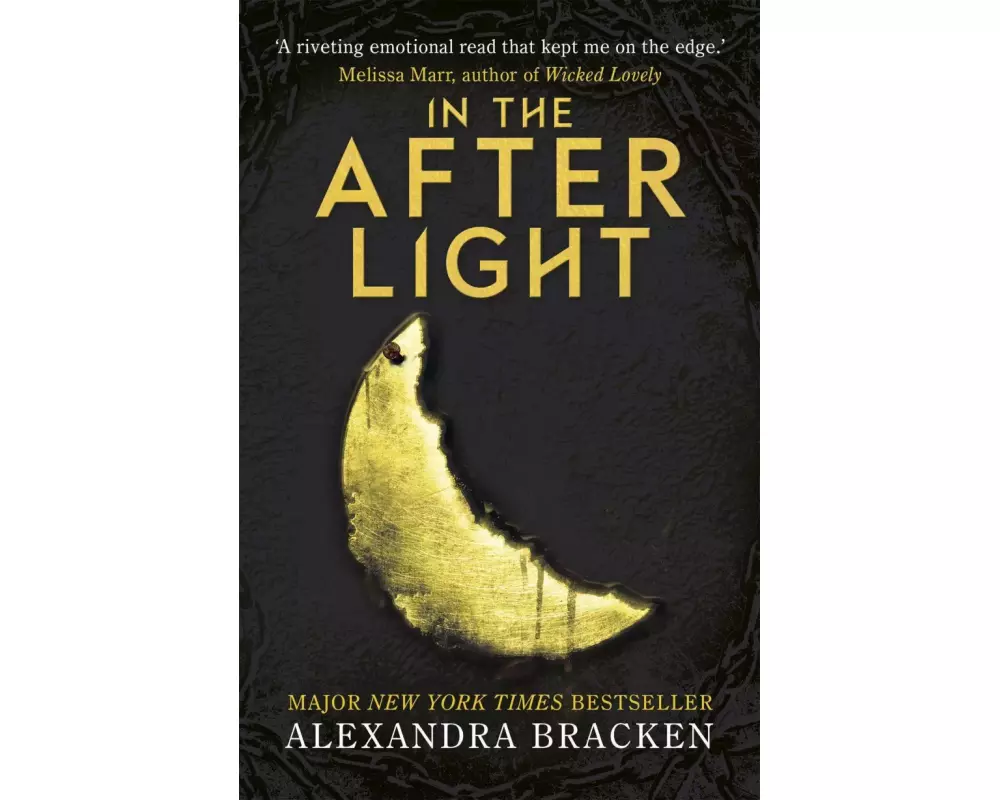A Darkest Minds Novel: In the Afterlight