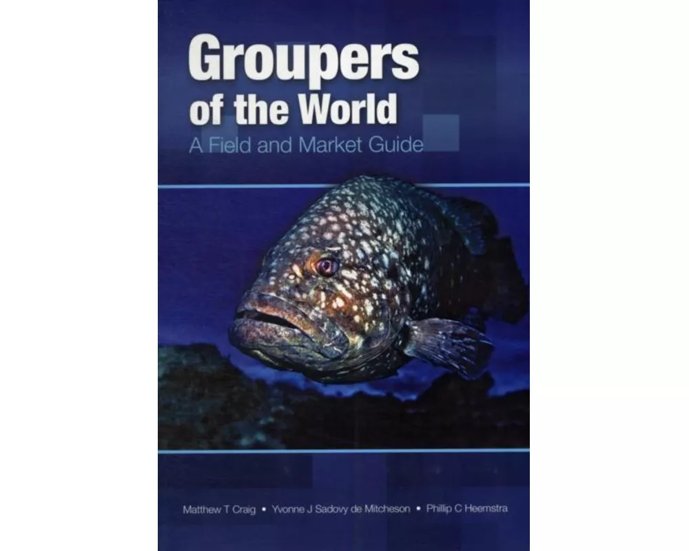 Groupers of the World