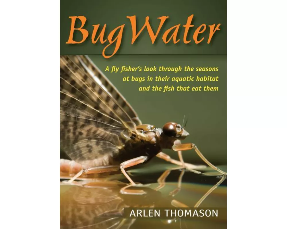 Bugwater