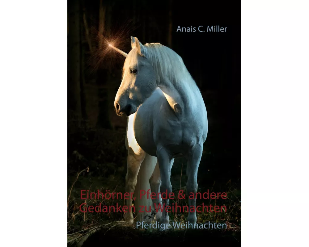Einhrner, Pferde & andere Gedanken zu Weihnachten