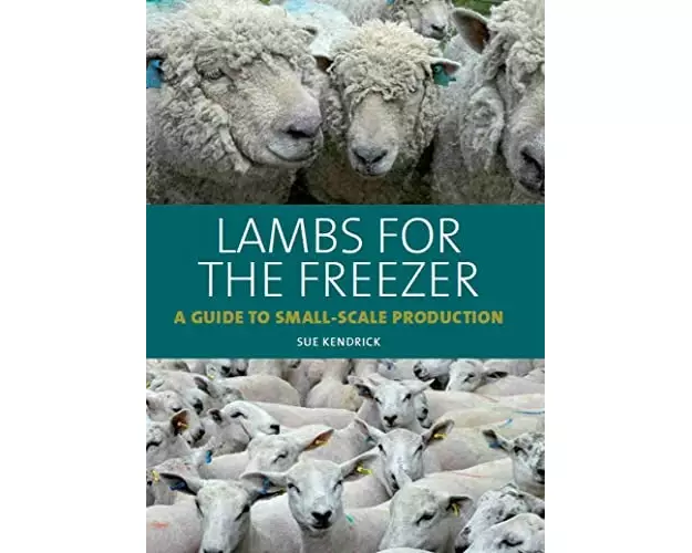 Lambs for the Freezer