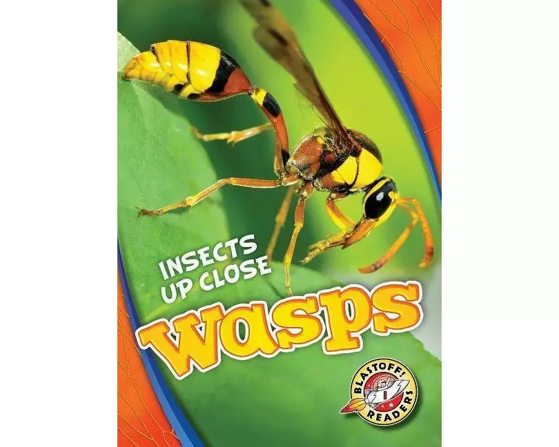 Wasps