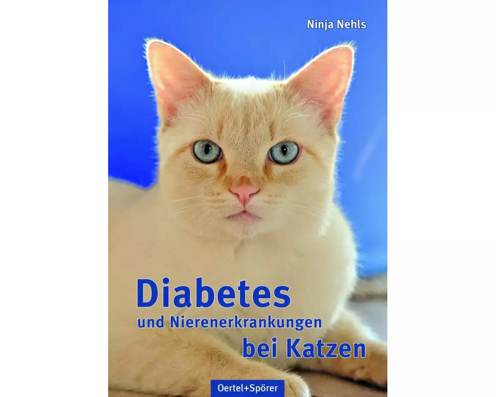 Diabetes und Nierenerkrankungen bei Katzen