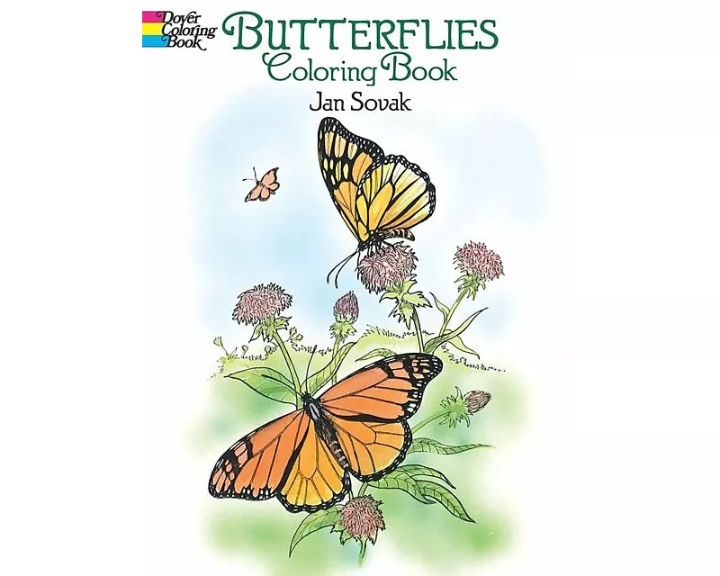Butterflies Coloring Book