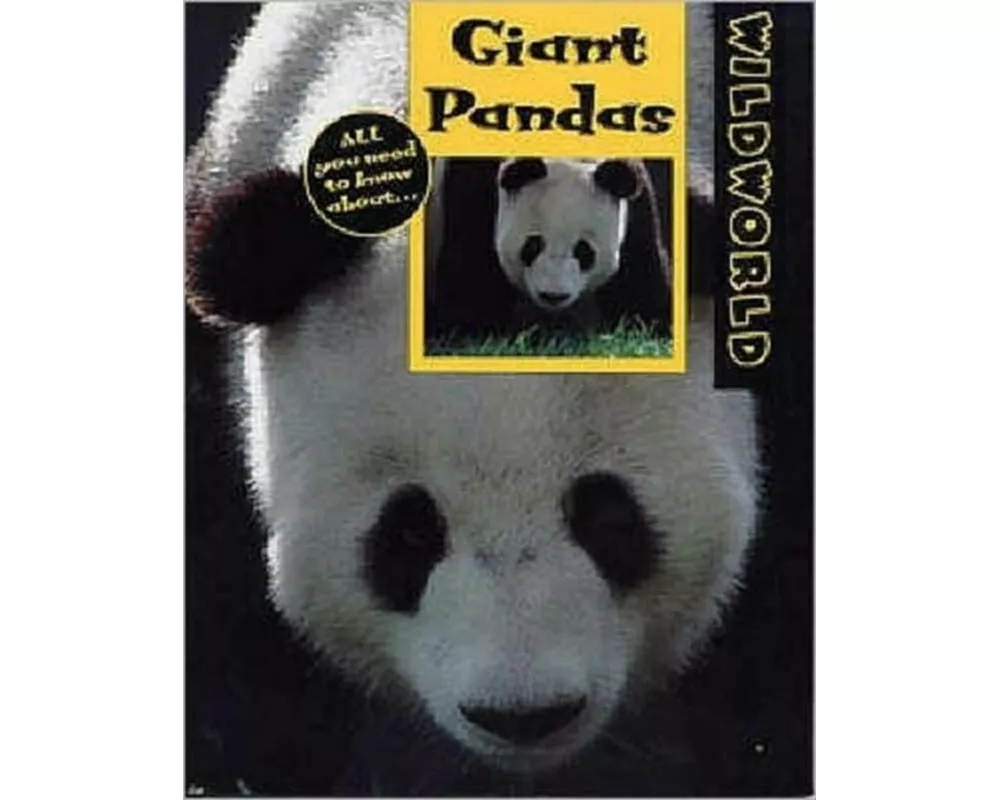 Giant Pandas
