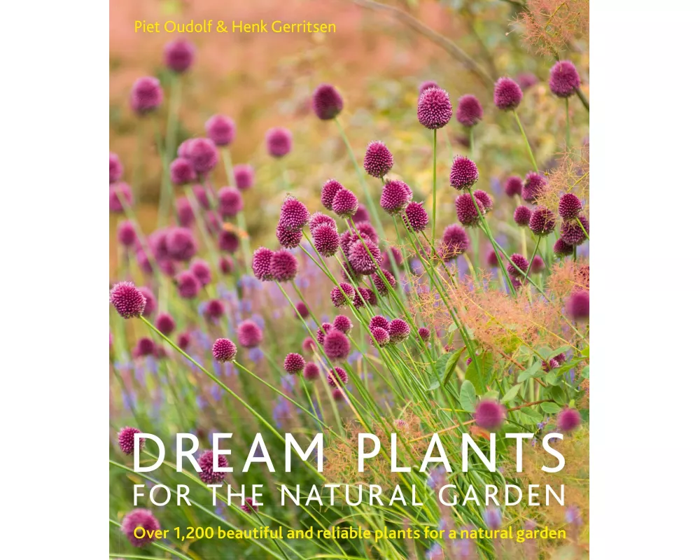 Dream Plants for the Natural Garden