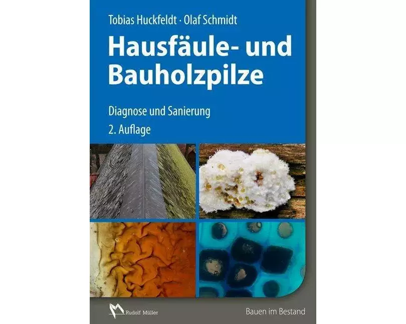 Holzfäule- und Bauholzpilze