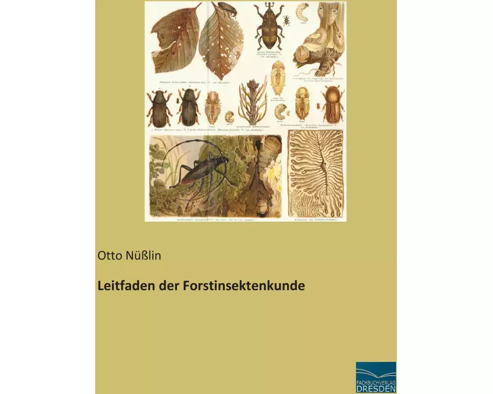 Leitfaden der Forstinsektenkunde