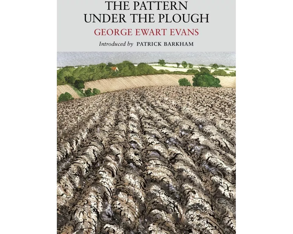 The Pattern Under the Plough