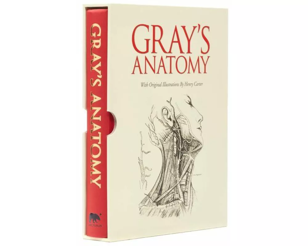 Grays Anatomy