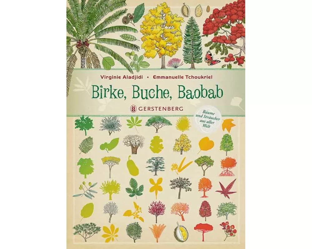 Birke, Buche, Baobab