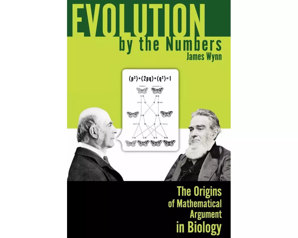 Evolution by the Numbers