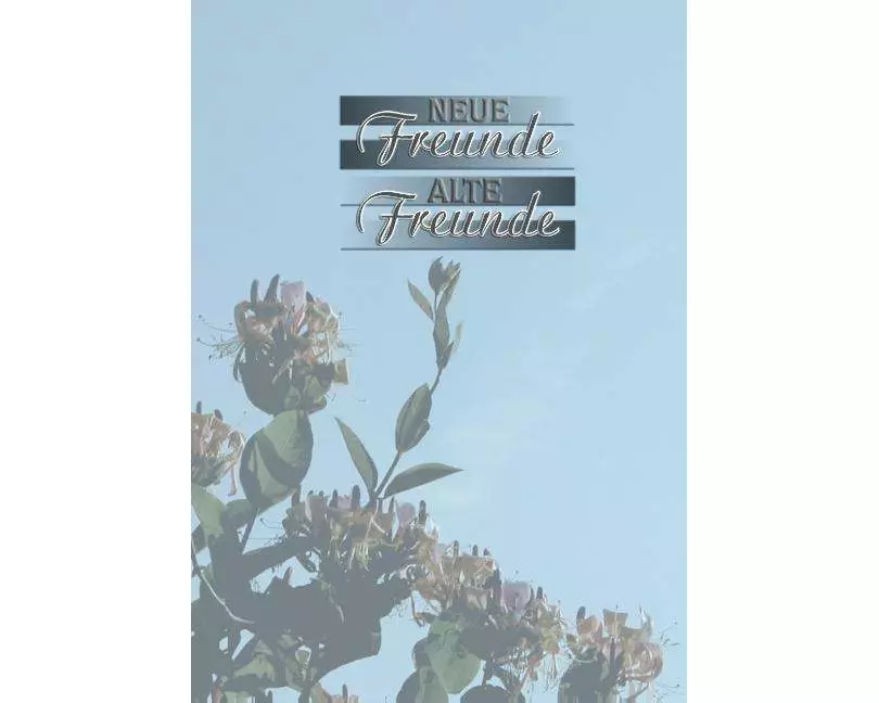 Neue Freunde - Alte Freunde