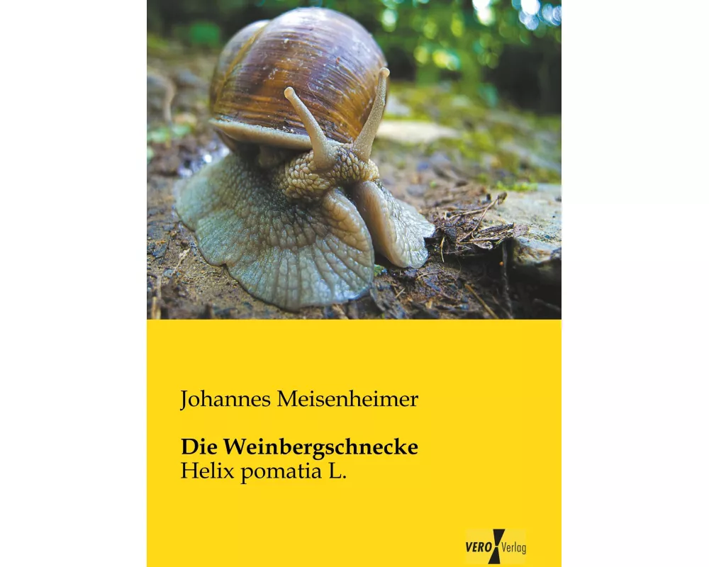 Die Weinbergschnecke