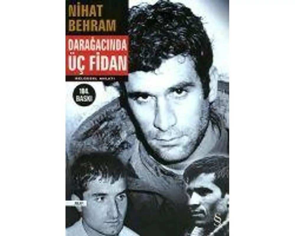 Daragacinda Üc Fidan