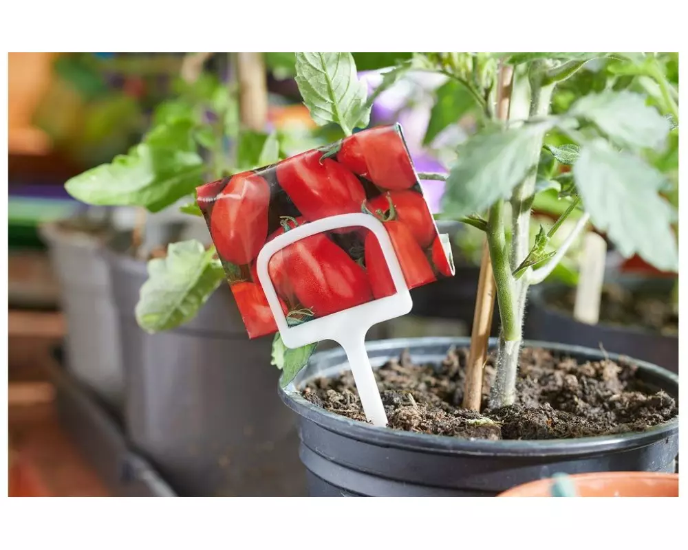 Samen Mauser T-Etiketten, 10 Stück, 12.5 cm