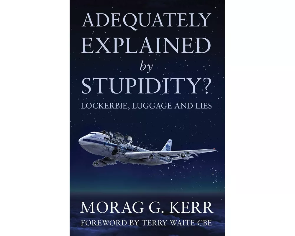 Adequately Explained by Stupidity?
