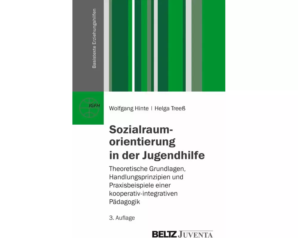 Sozialraumorientierung in der Jugendhilfe