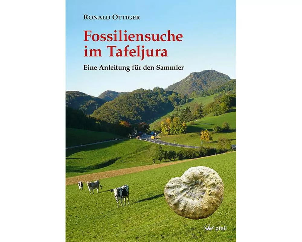 Fossiliensuche im Tafeljura