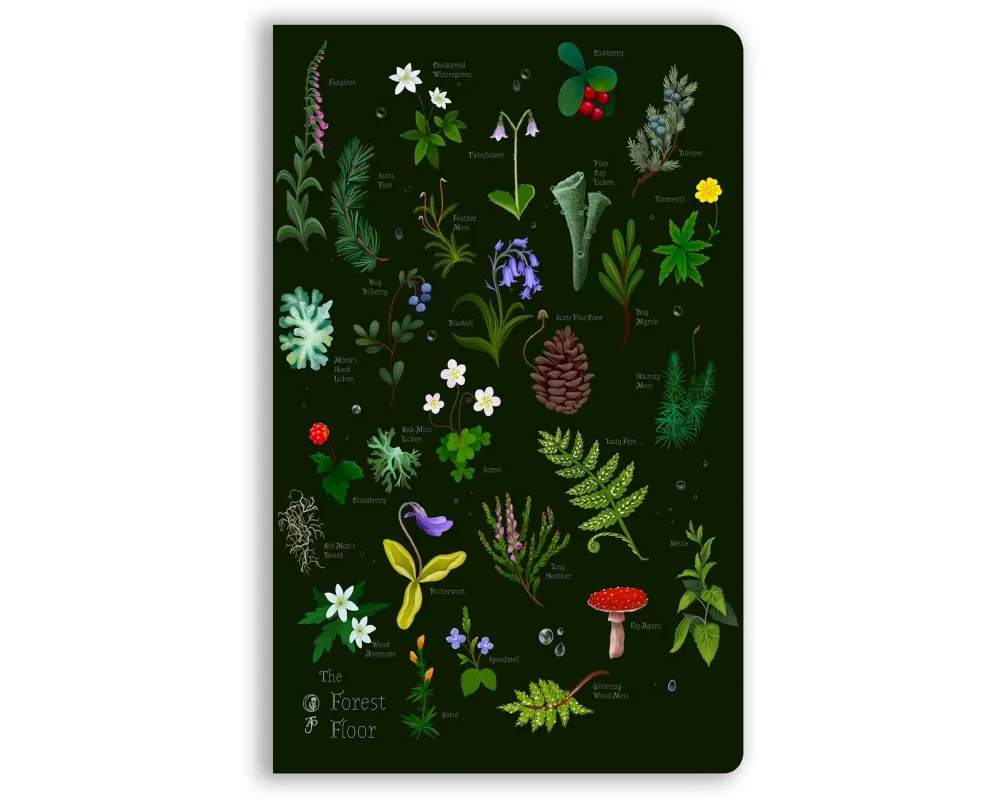 Anna Stead: The Forest Floor (Soft Touch Journal)